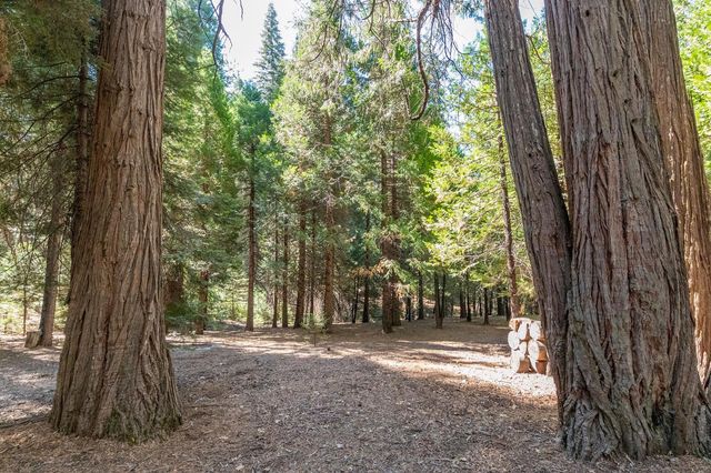 28454 Rolling Hills Rd, Pioneer, CA 95666