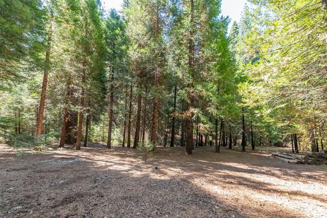 28454 Rolling Hills Rd, Pioneer, CA 95666
