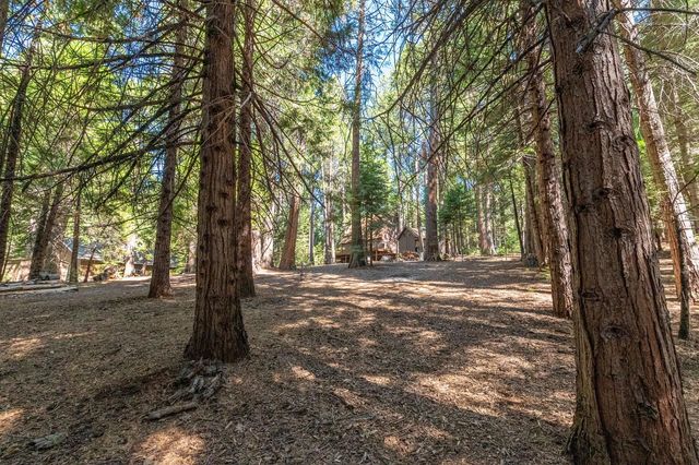28454 Rolling Hills Rd, Pioneer, CA 95666
