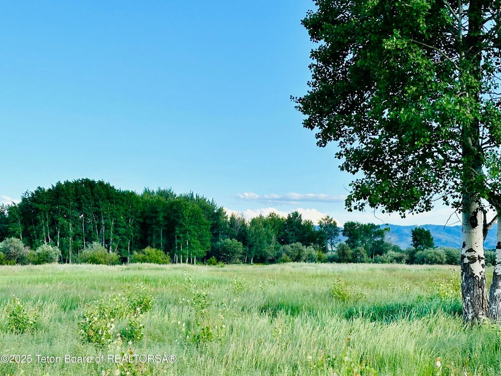 TBD SOUTH BATES, Driggs, ID 83422 photo 8