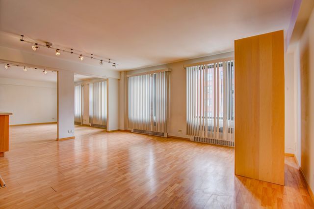 7355 S South Shore Drive 305, Chicago, IL 60649
