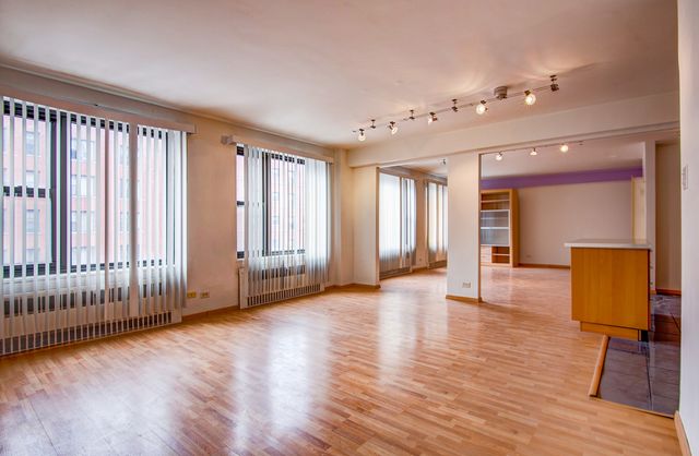 7355 S South Shore Drive 305, Chicago, IL 60649