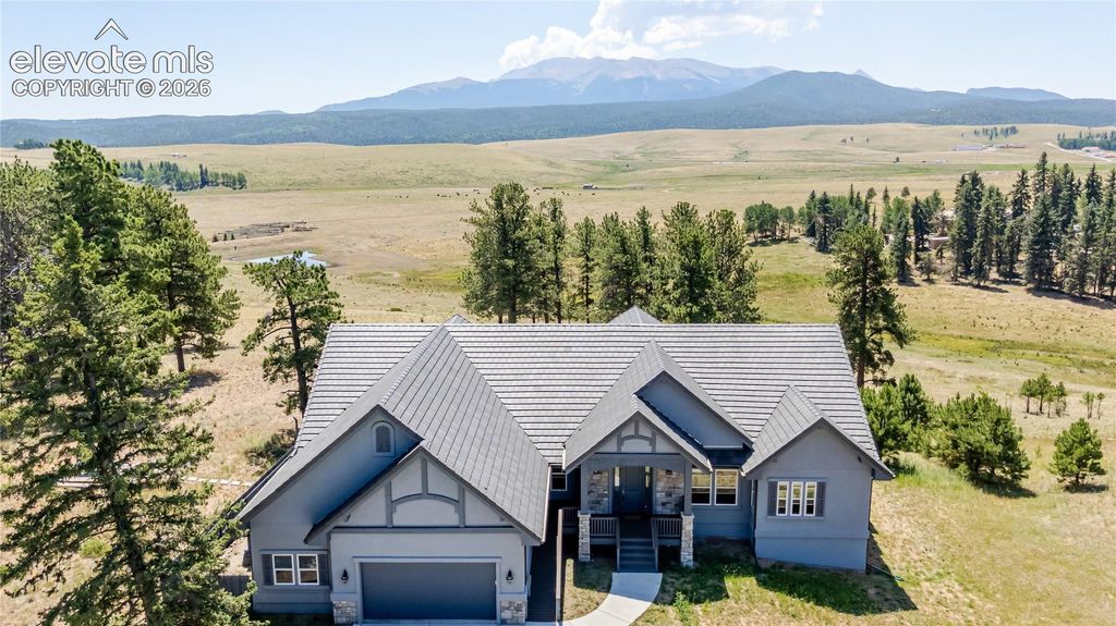 407 Silvermoon Heights, Divide, CO 80814 — photo 2