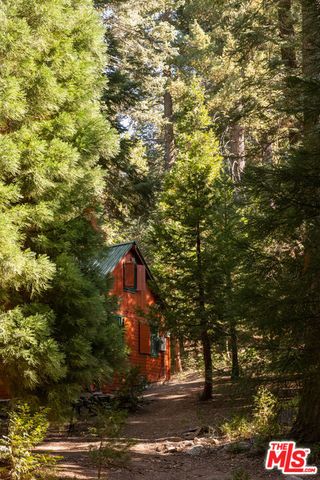 629 Lodge Lane, Twin Peaks, CA 92391
