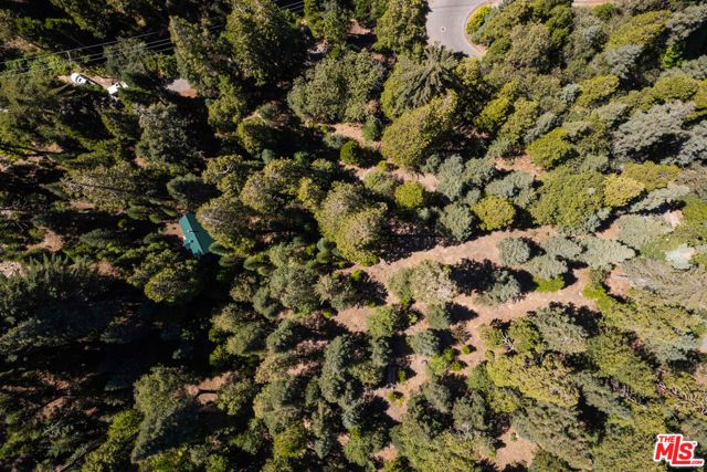 629 Lodge Lane, Twin Peaks, CA 92391