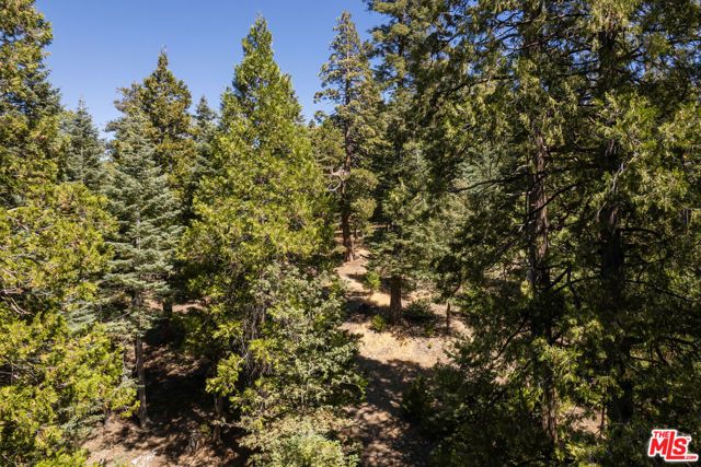 629 Lodge Lane, Twin Peaks, CA 92391