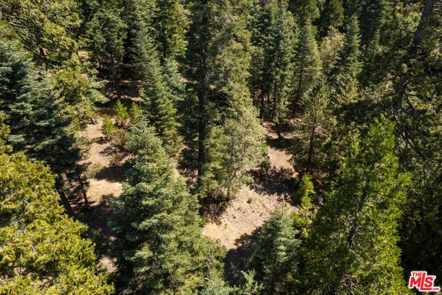 629 Lodge Lane, Twin Peaks, CA 92391