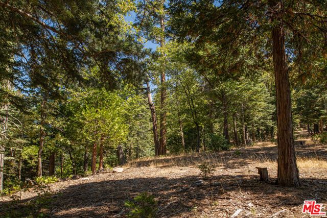 629 Lodge Lane, Twin Peaks, CA 92391
