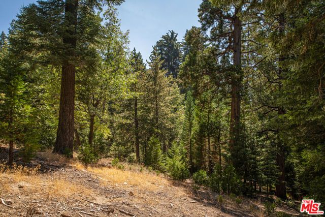 629 Lodge Lane, Twin Peaks, CA 92391