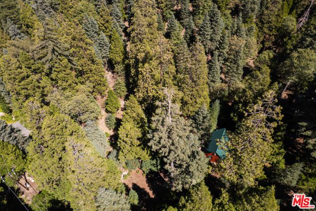 629 Lodge Lane, Twin Peaks, CA 92391