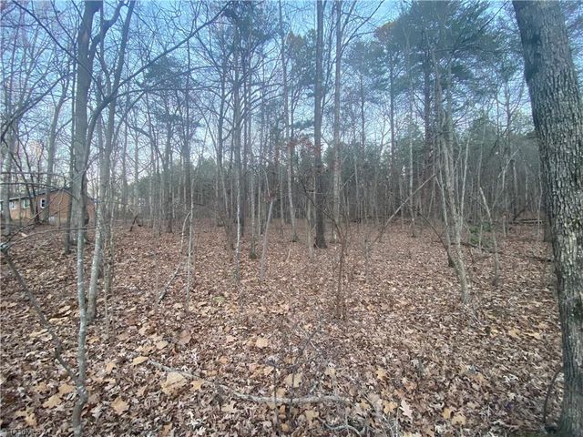 4707 Jaylee Place, Julian, NC 27283