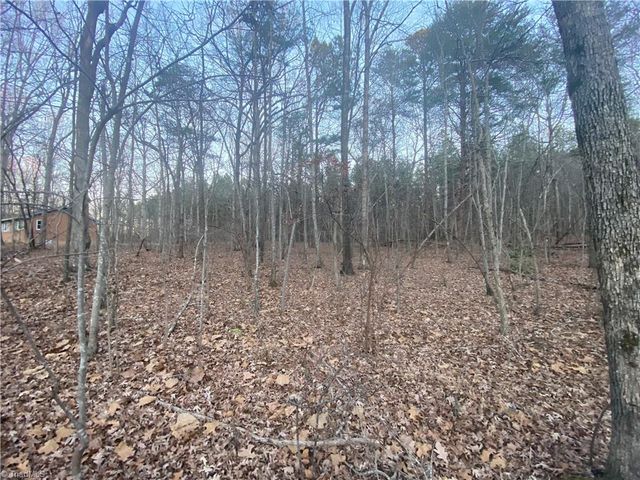 4707 Jaylee Place, Julian, NC 27283