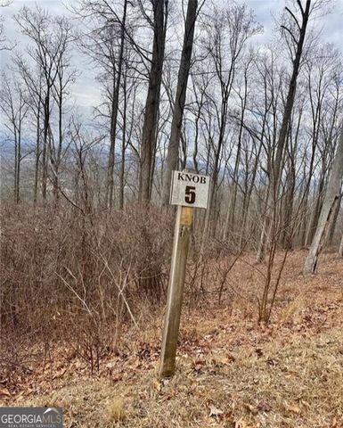 5 Rocky Knob, Young Harris, GA 30582