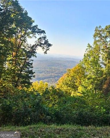 5 Rocky Knob, Young Harris, GA 30582