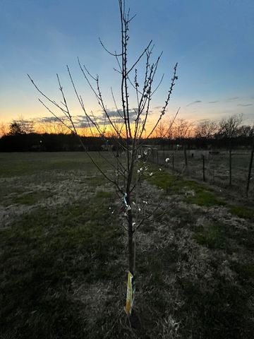 476 Bill Russell Rd, Wartrace, TN 37183