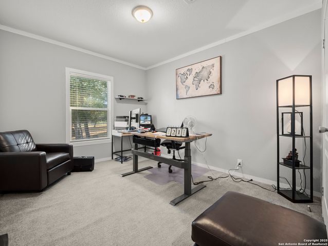 1919 Blackjack, San Antonio, TX 78264