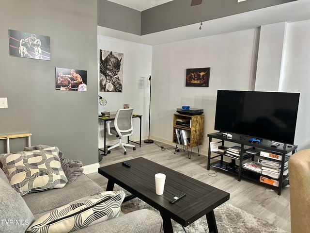 116 Tipton Street Apt 304, Johnson City, TN 37604