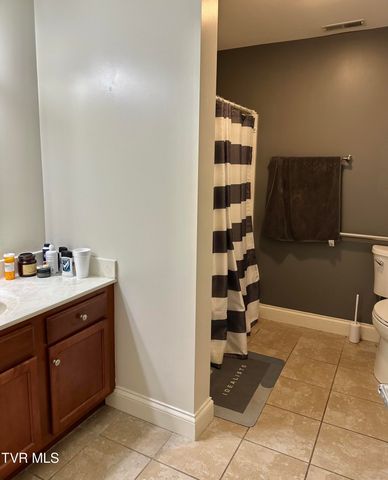 116 Tipton Street Apt 304, Johnson City, TN 37604