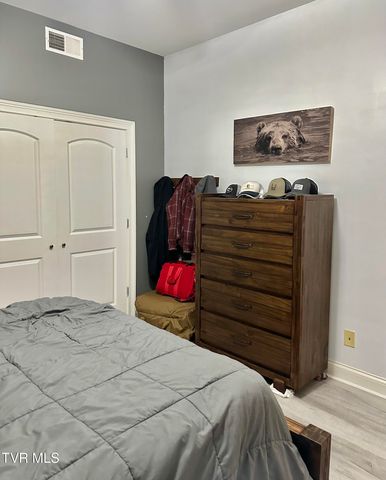116 Tipton Street Apt 304, Johnson City, TN 37604
