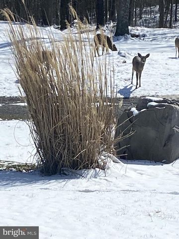 800 HIGH PINES LN, Port Matilda, PA 16870