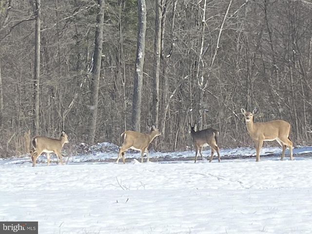 800 HIGH PINES LN, Port Matilda, PA 16870