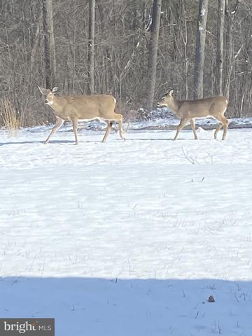 800 HIGH PINES LN, Port Matilda, PA 16870