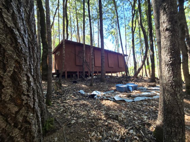 1553 Trinity Trail, Zenia, CA 95595