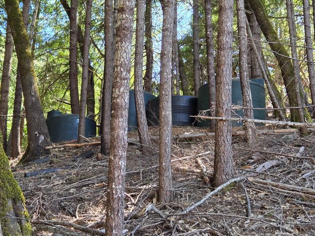 1553 Trinity Trail, Zenia, CA 95595