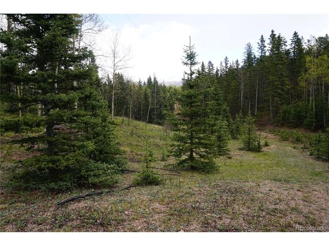 Vacant Land, Cripple Creek, CO 80813