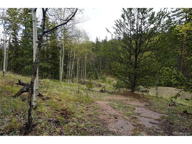 Vacant Land, Cripple Creek, CO 80813