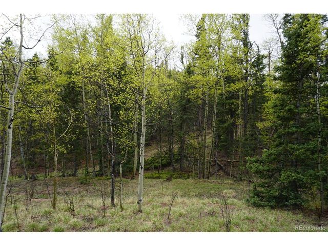 Vacant Land, Cripple Creek, CO 80813