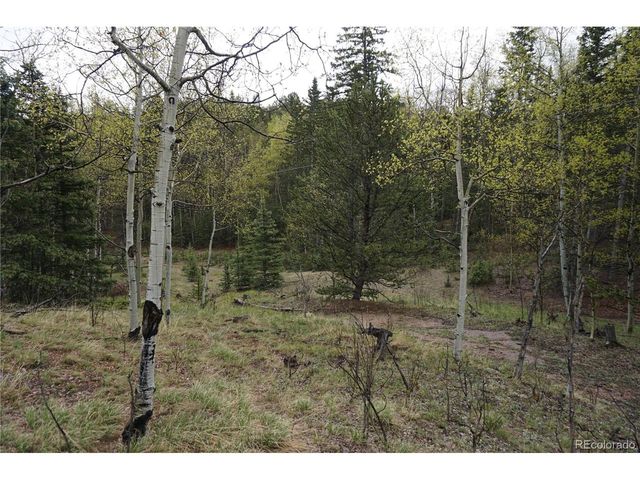 Vacant Land, Cripple Creek, CO 80813