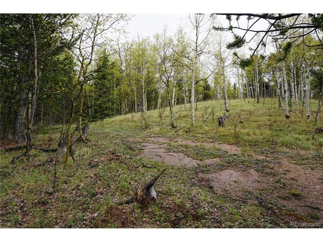 Vacant Land, Cripple Creek, CO 80813