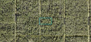 0000 Weatherby Ave, Hastings, FL 32145