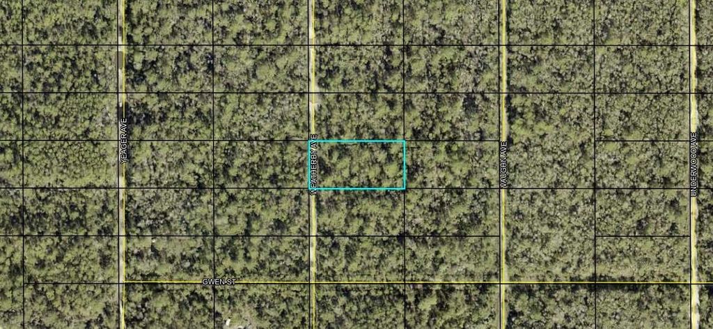 0000 Weatherby Ave, Hastings, FL 32145