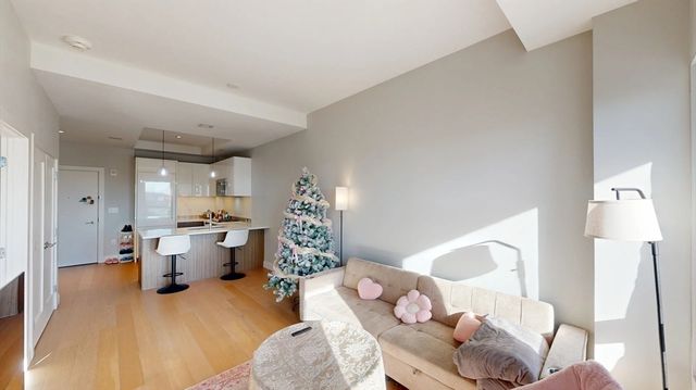 100 Shawmut Ave 1109, Boston, MA 02118