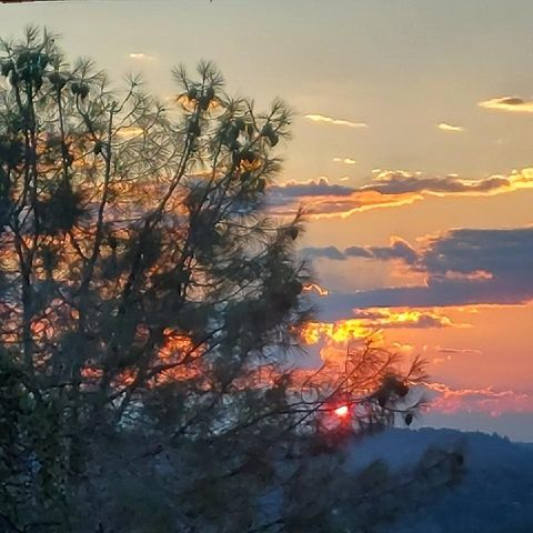 11011 Chances R Rd, Penn Valley, CA 95946
