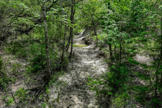 3420 Rohde Road, Round Top, TX 78954