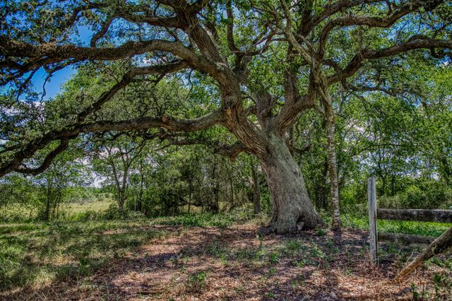 3420 Rohde Road, Round Top, TX 78954
