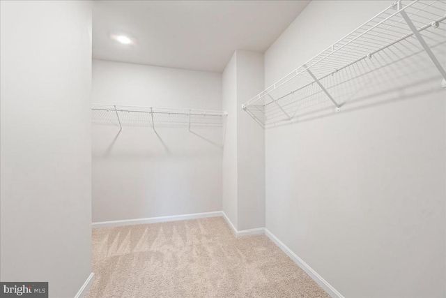 7404 JAKE CT, Fredericksburg, VA 22407