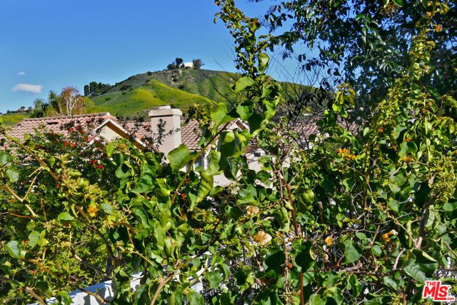 24715 Via Del Llano, Calabasas, CA 91302