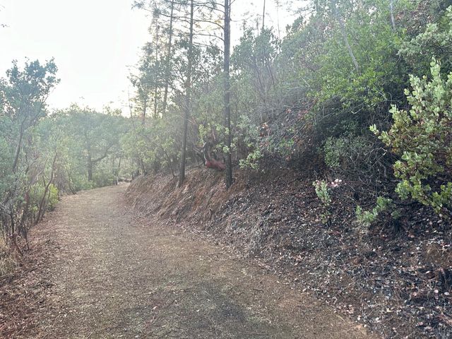 LOT Lake Boulevard, Shasta Lake, CA 96019