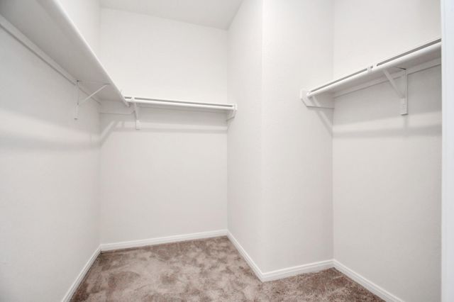 2030 Domeniko Drive, Fresno, TX 77545