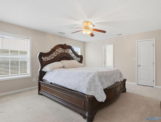 11821 Pulaski Pike, Toney, AL 35773