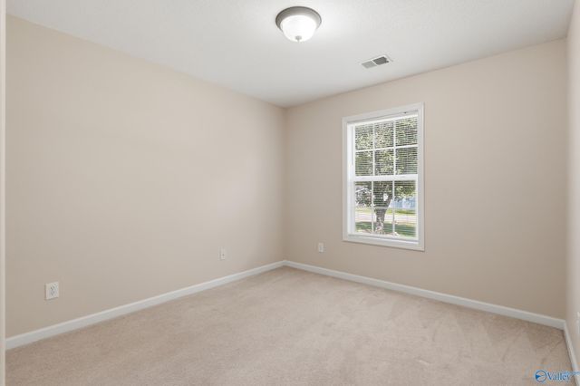 11821 Pulaski Pike, Toney, AL 35773