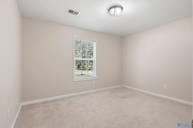 11821 Pulaski Pike, Toney, AL 35773