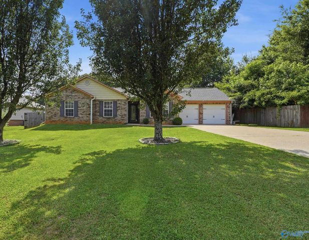 11821 Pulaski Pike, Toney, AL 35773