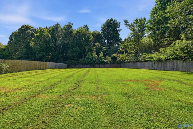 11821 Pulaski Pike, Toney, AL 35773