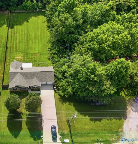 11821 Pulaski Pike, Toney, AL 35773