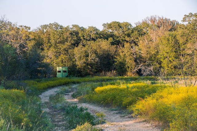 999999999 Gresham Lane, Jacksboro, TX 76458